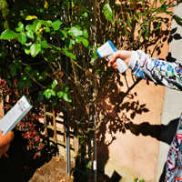Workshop: Beton oder Gartenstadt? © Lokale Agenda 21 Trier e.V.